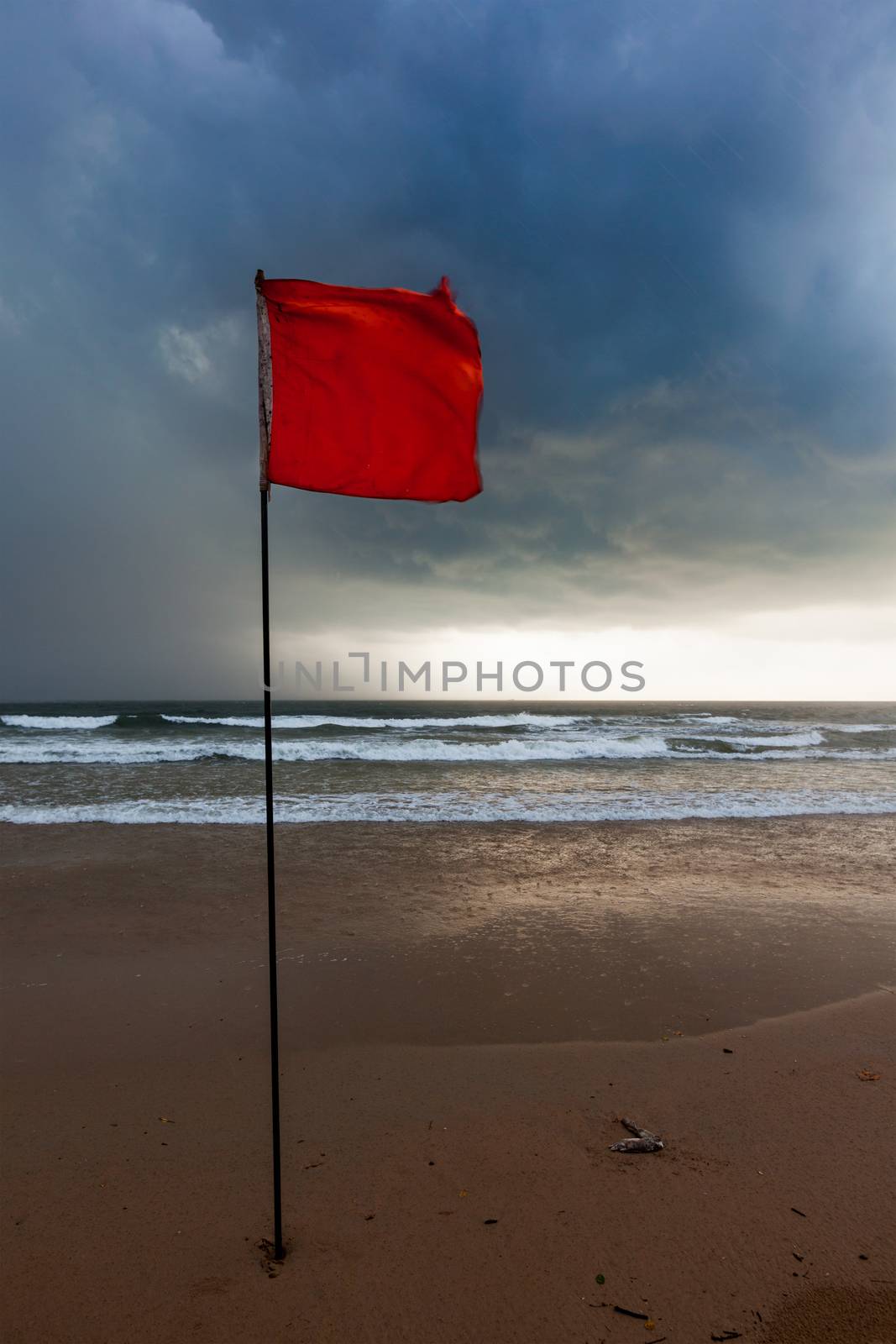 Storm warning flags on beach. Baga, Goa, India by dimol