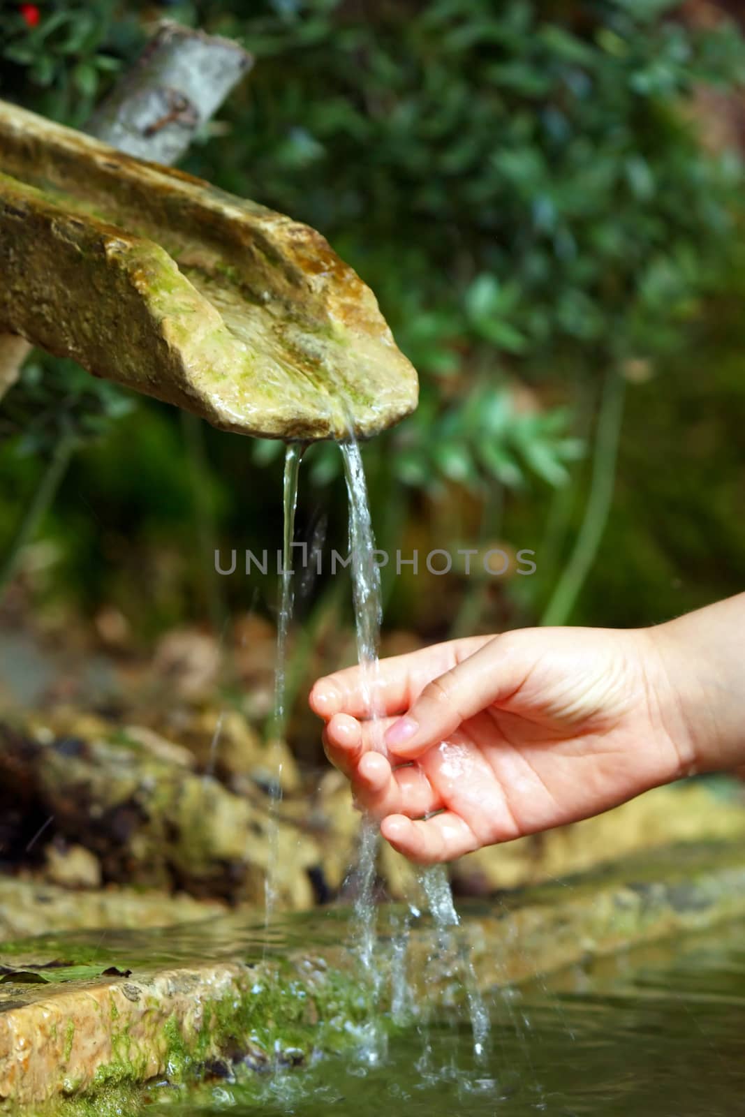 Fresh water of life from natural well