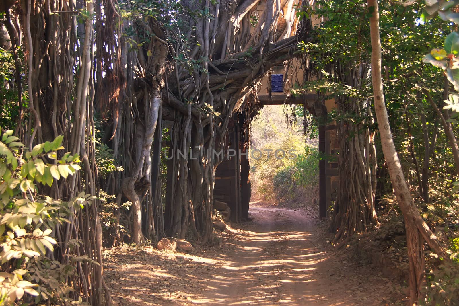 Entrance gate to Ranthambore National Park, Rajasthan, India