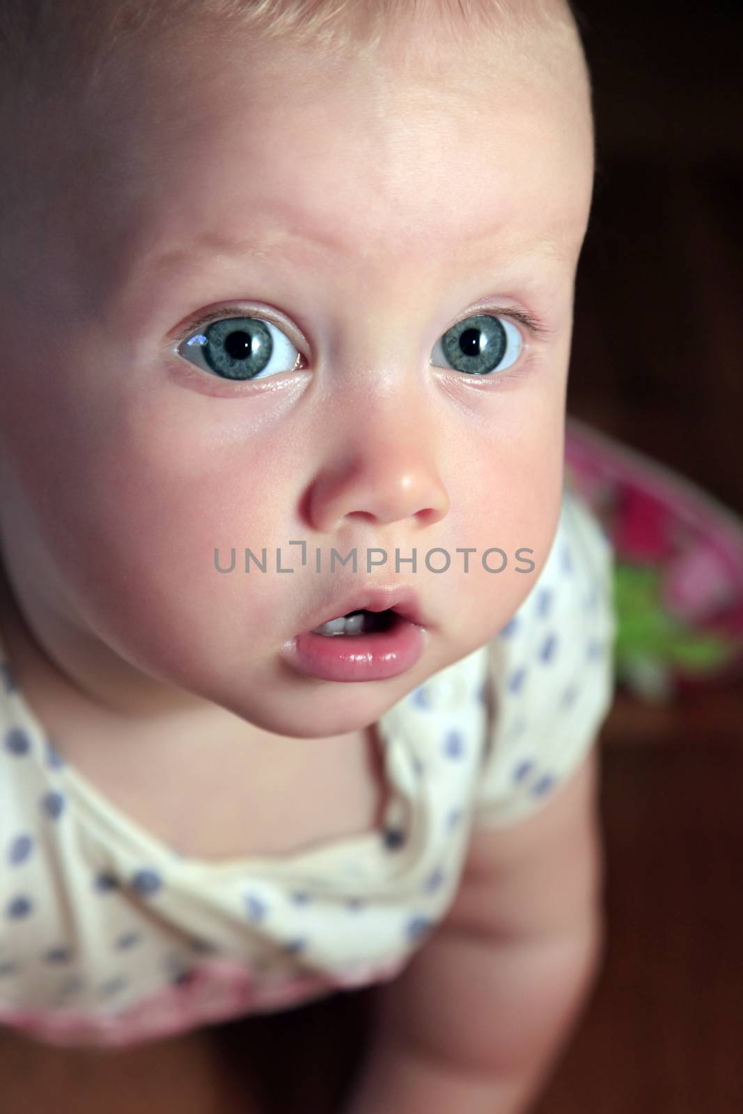 Portrait of a beautiful little girl with a surprised face