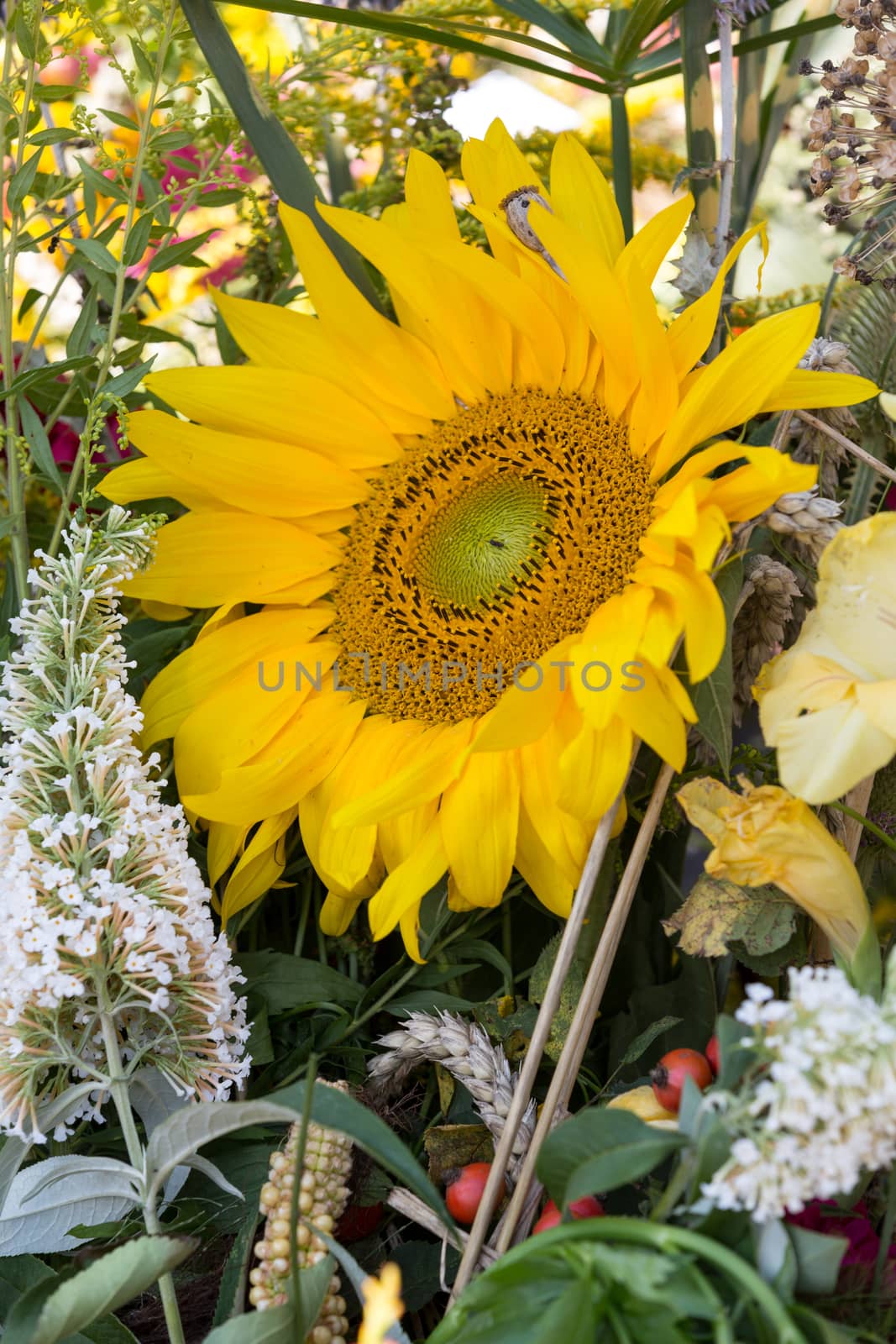 beautiful bouquets of flowers and herbs 