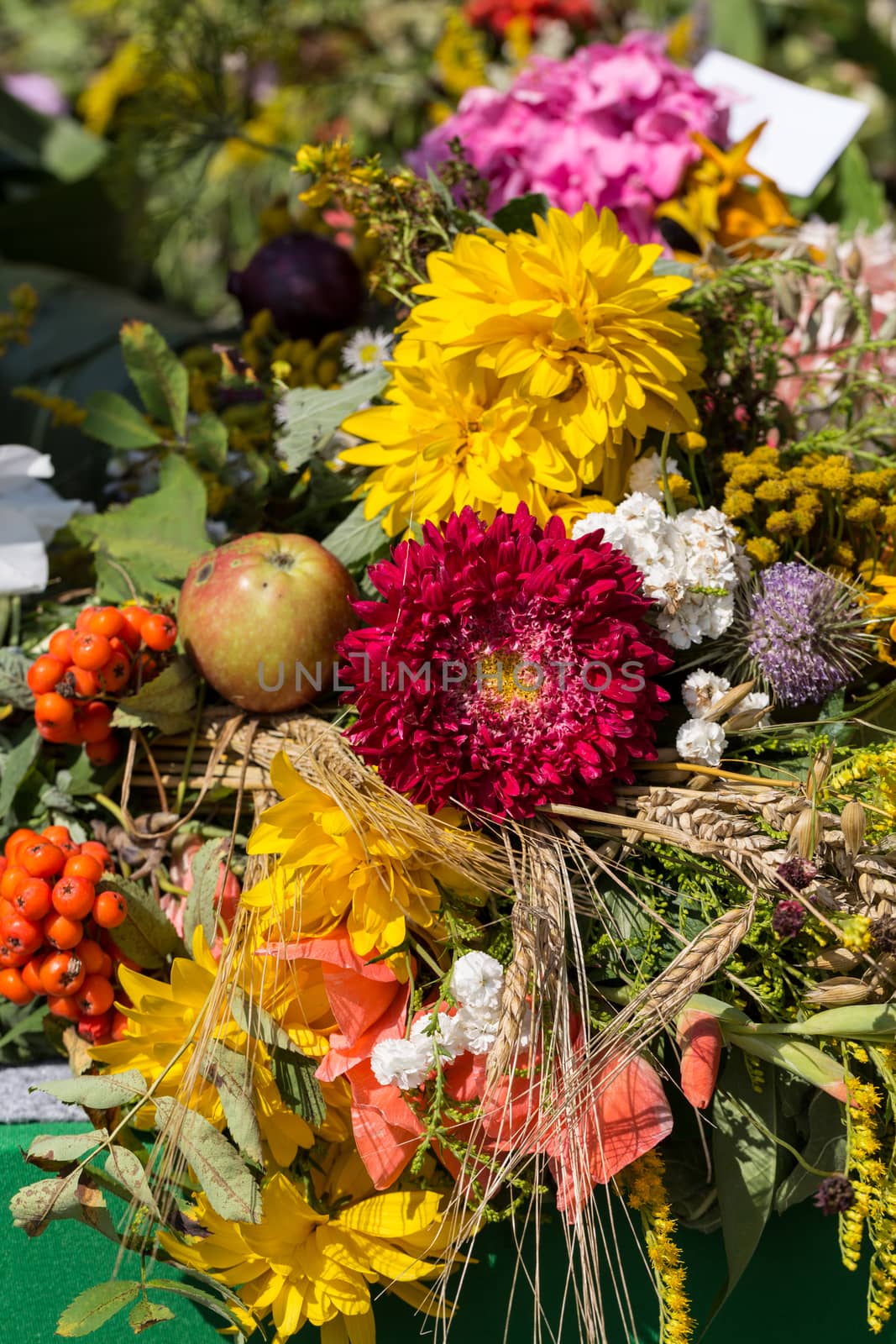 beautiful bouquets of flowers and herbs 