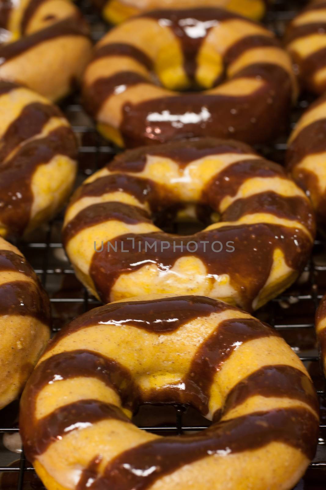 Pumpkin doughnuts with spiced glaze and choclate drizzle over the top.