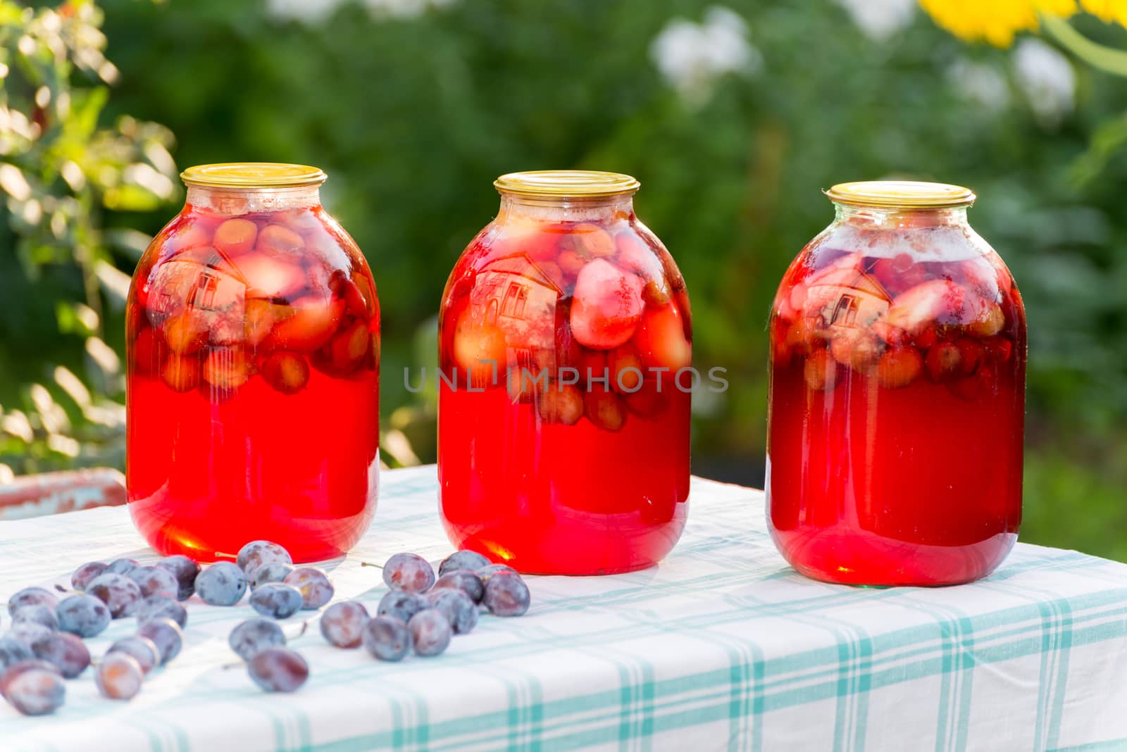 PlPlum compote home canning in the gardenum compote home canning in the garden