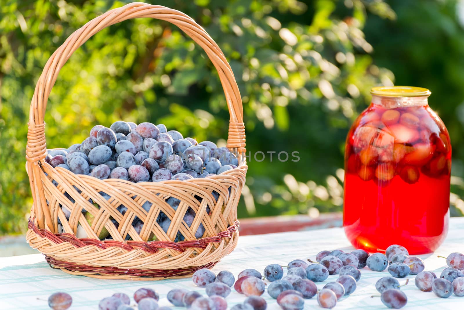 compote home canning and basket with plums by olgavolodina