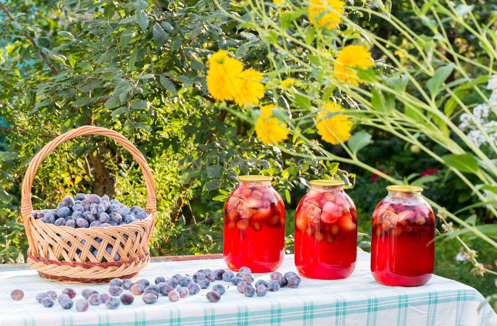 Plum compote home canning and basket with plums