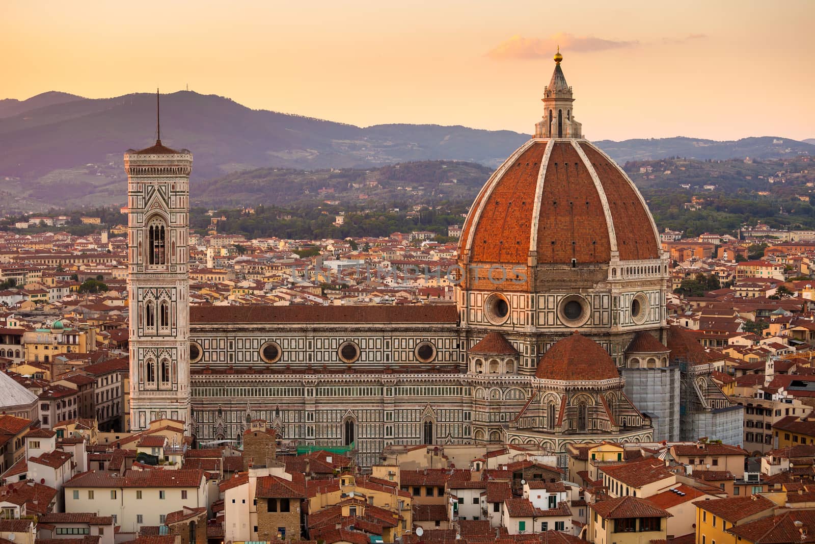 Pisa, Italy - August 11, 2013: Cathedral Santa Maria del Fiore in Florence city view, Italy