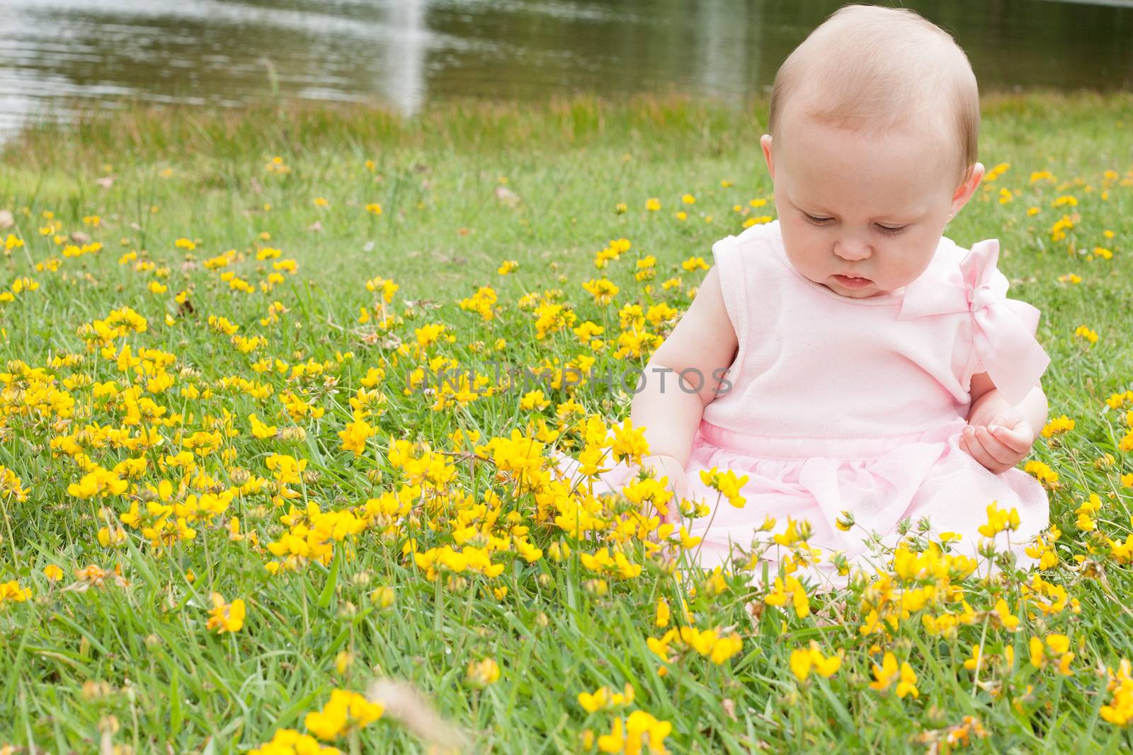 Sweet baby girl in a field of buttercups