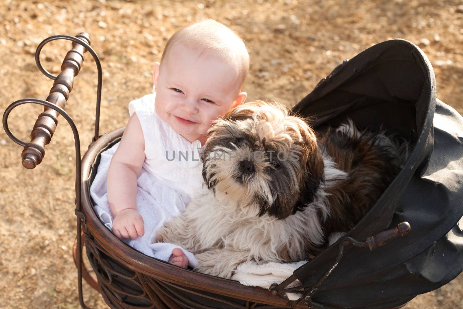 Baby and puppy in vintage pram by DNFStyle