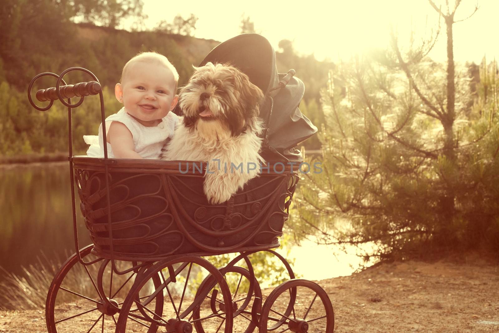 Baby girl and puppy are sitting in a vintage pram
