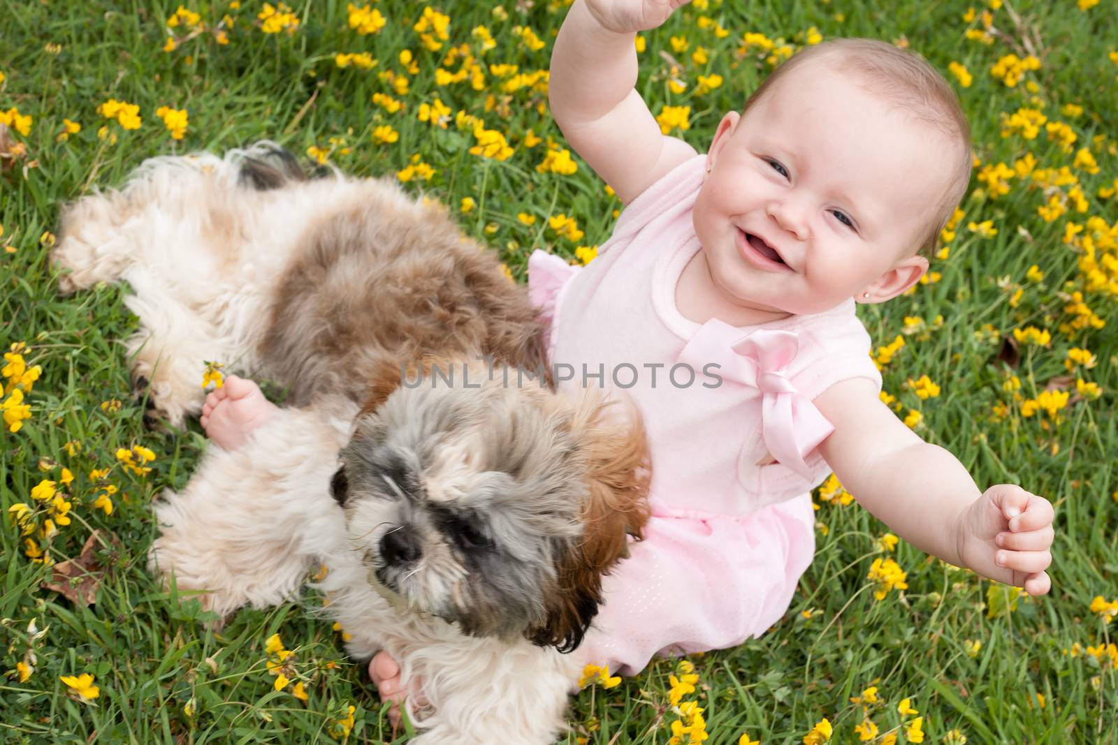 Sweet baby girl and puppy in a field of buttercups