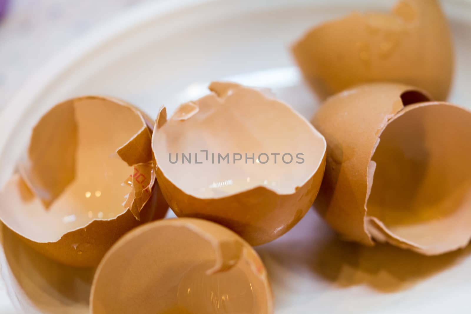 Broken shells of eggs