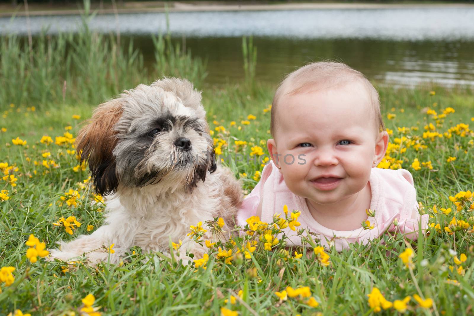 Baby and puppy in the field with buttercups by DNFStyle