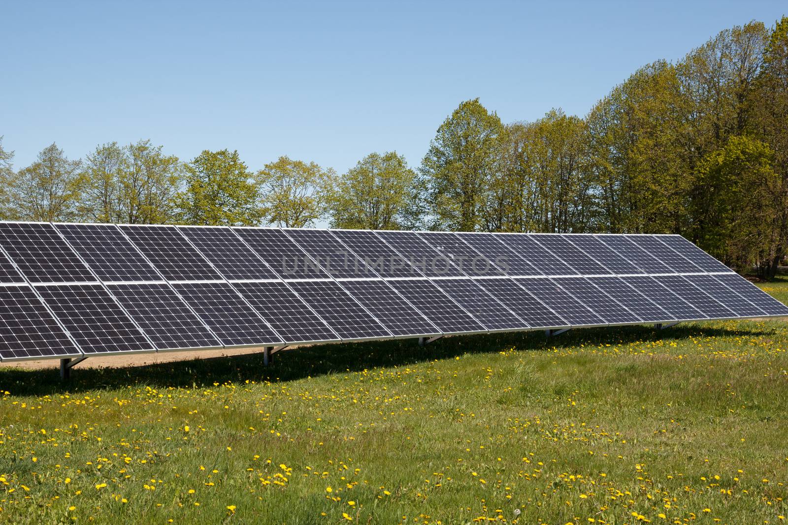 A set of solar panels on a meadow