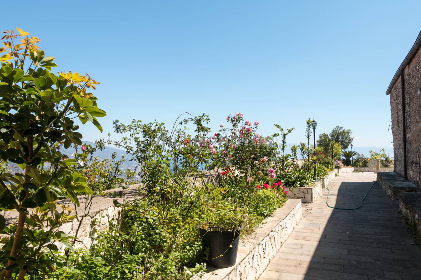 Terrace with flower and plants