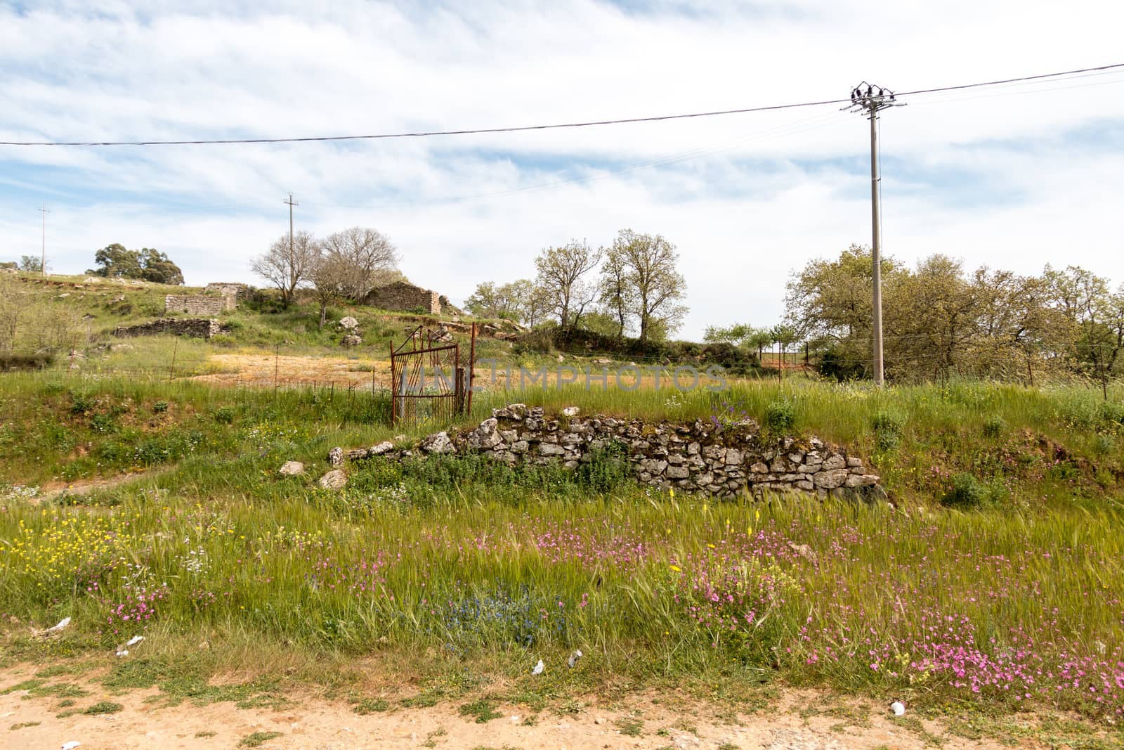 Sicily Landscape