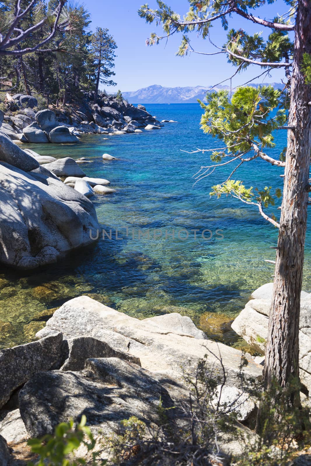 Beautiful Clear Water Shoreline of Lake Tahoe.
