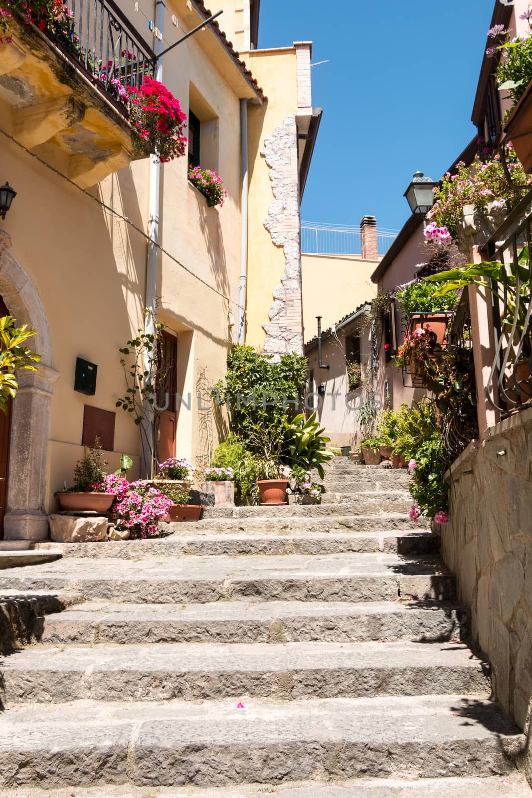 Stairs and flowers in the village