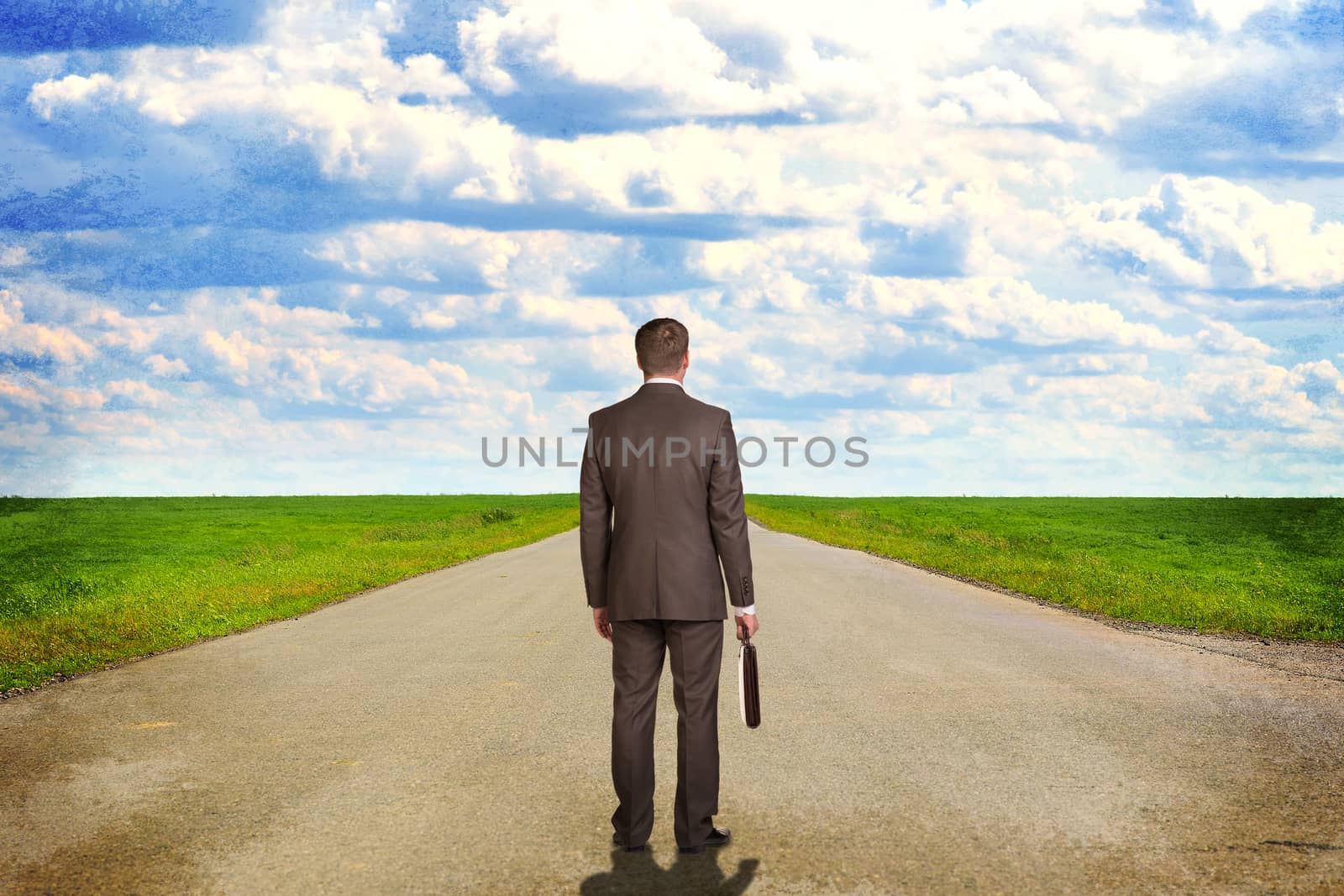 Businessman with briefcase standing on the road. Rear view by cherezoff