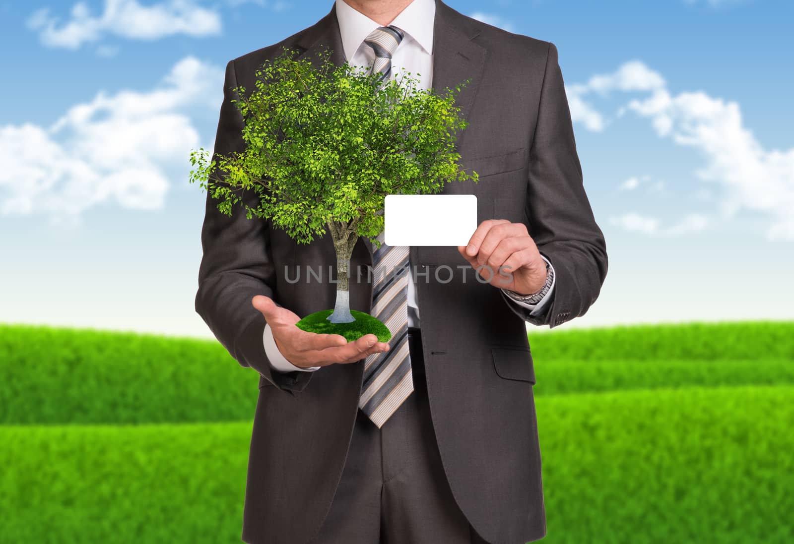 Businessman in suit hold empty card and tree. Nature landscape as backdrop