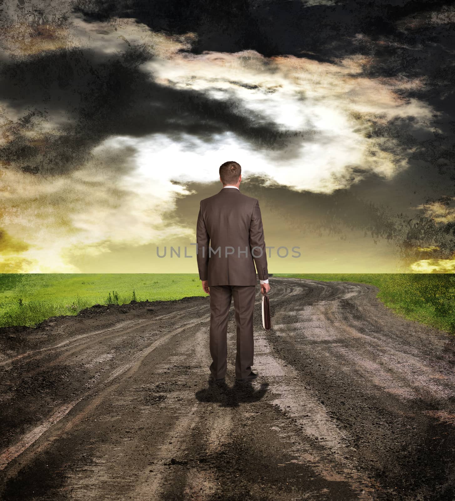 Businessman in suit with briefcase standing on the road. Rear view