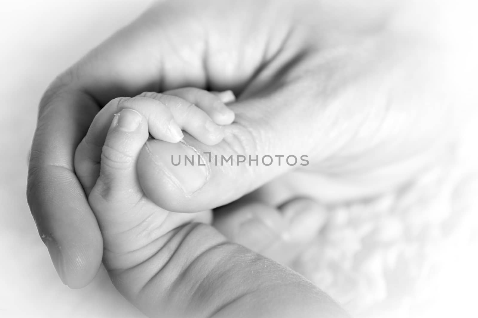Closeup at a tiny hand of a newborn