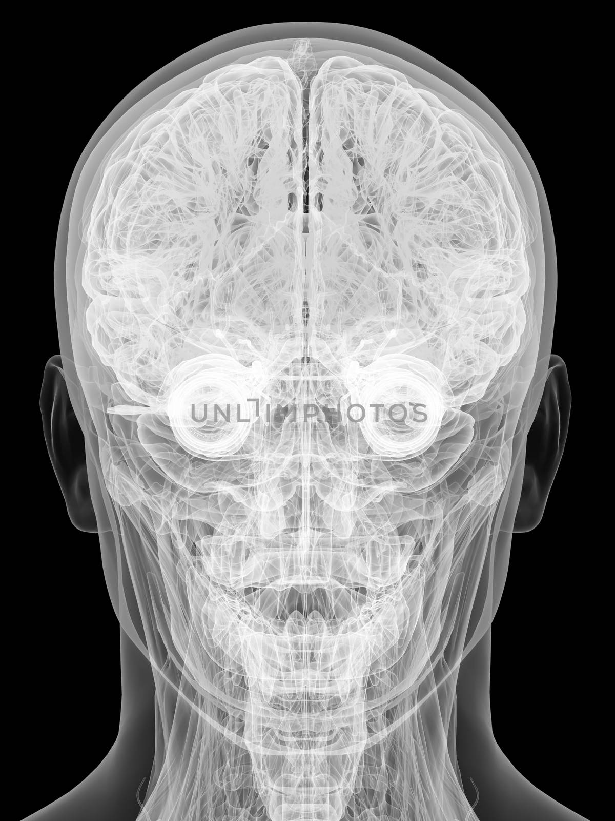 X-ray view of human head isolated on black background. High resolution 3D image