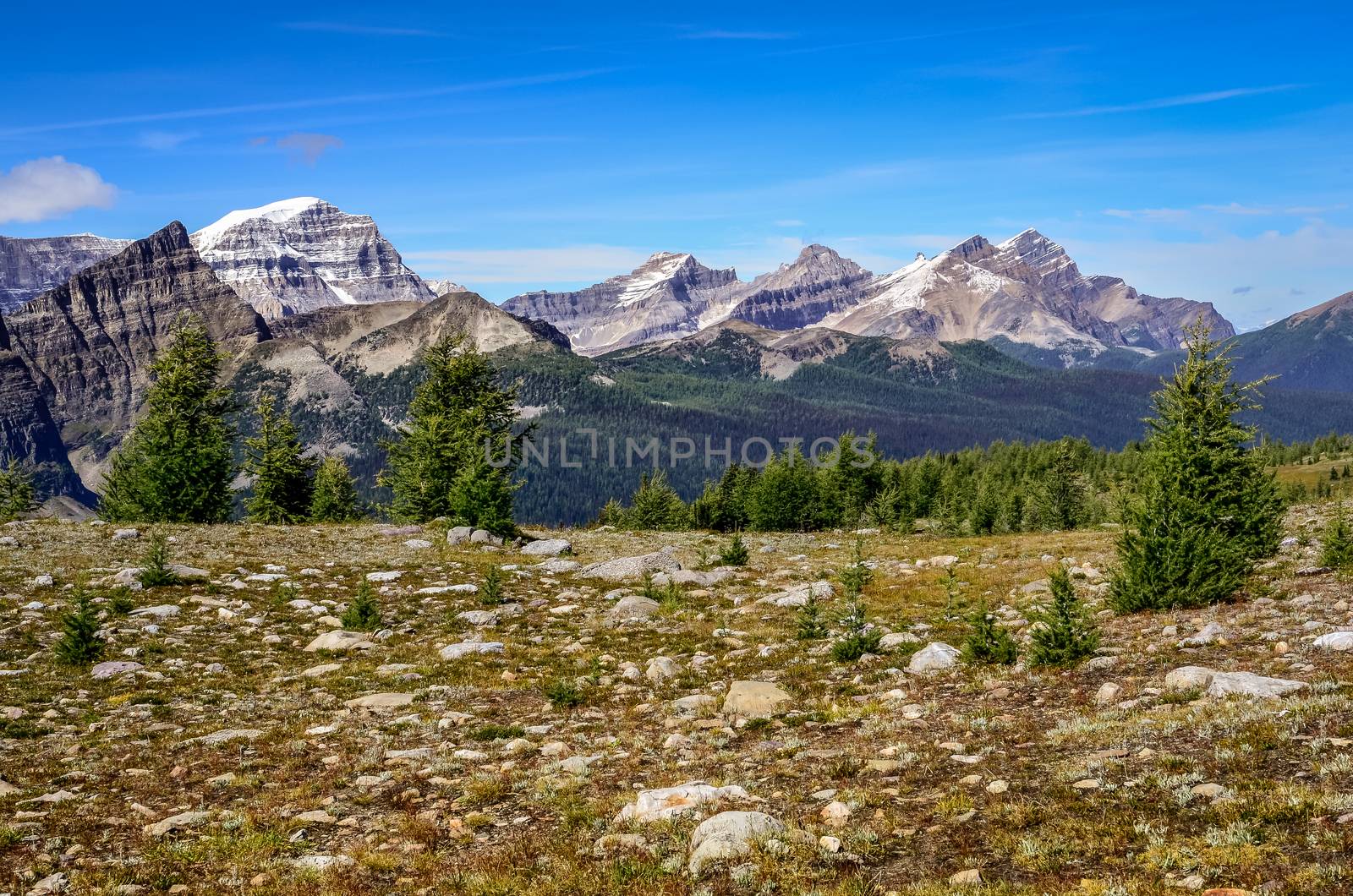 Scenic view of mountains in Banff national park near Egypt lake, Alberta, Canada