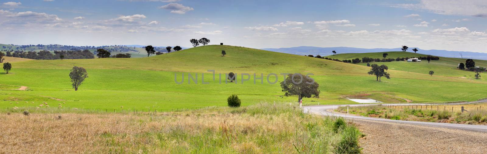 Hills of Mandurama Landscape by lovleah