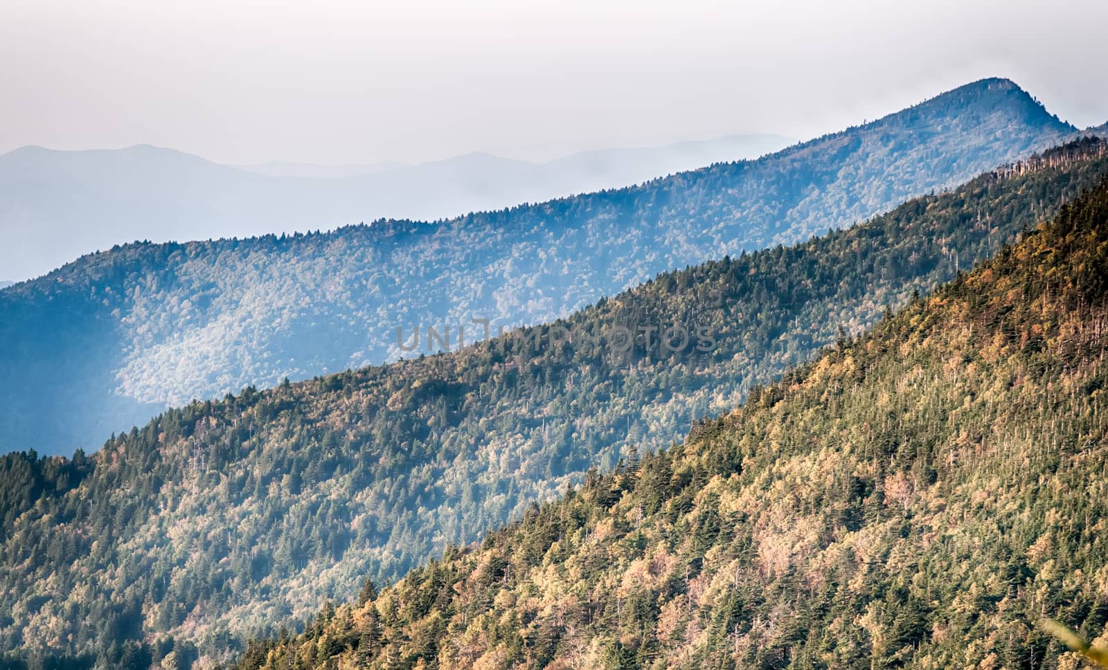 The simple layers of the Smokies at sunset - Smoky Mountain Nat. Park, USA.