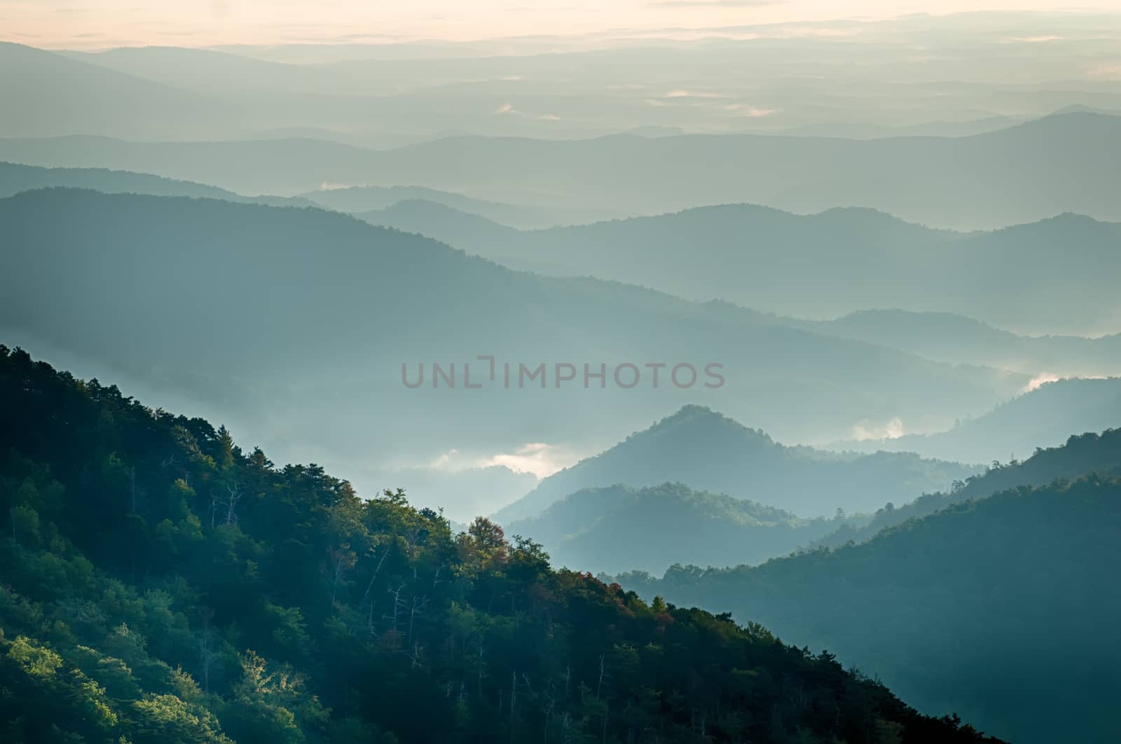 The simple layers of the Smokies at sunset - Smoky Mountain Nat. Park, USA.