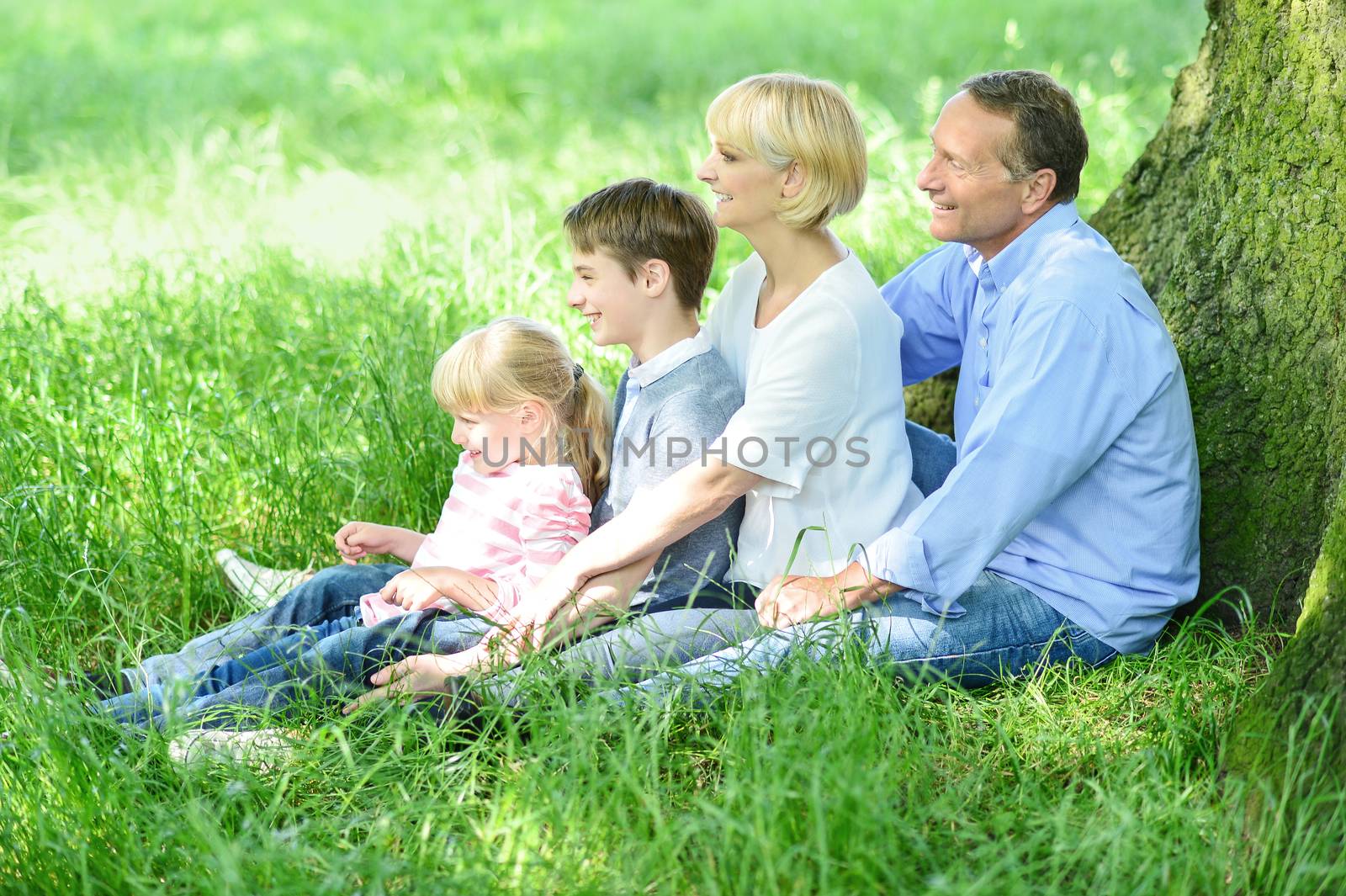 Family of four sitting in row under tree