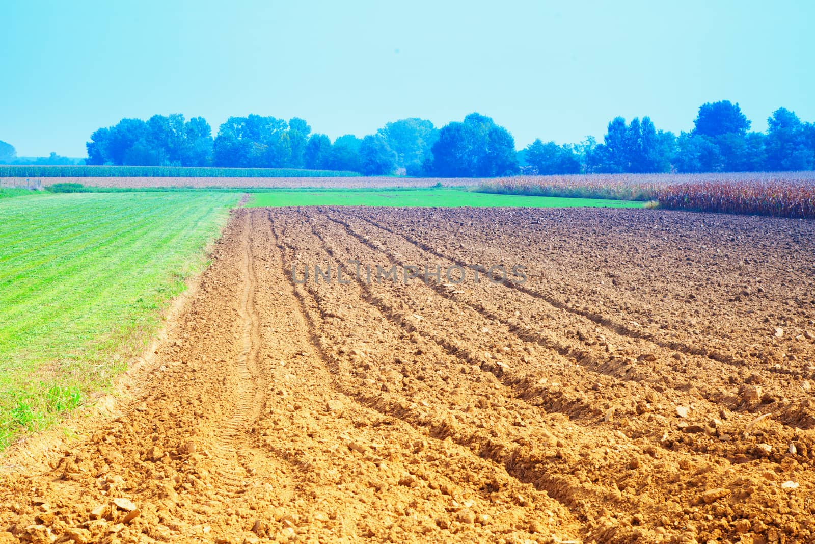 Landscape with plowed fields under blue sky