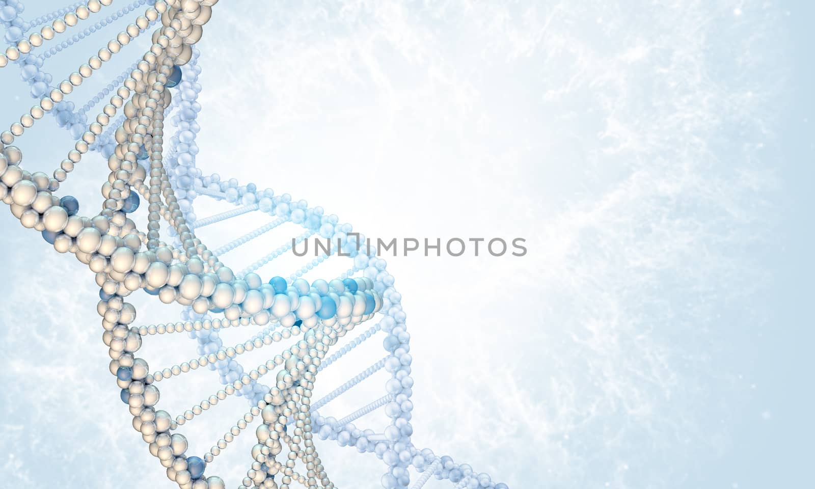 DNA model by cherezoff