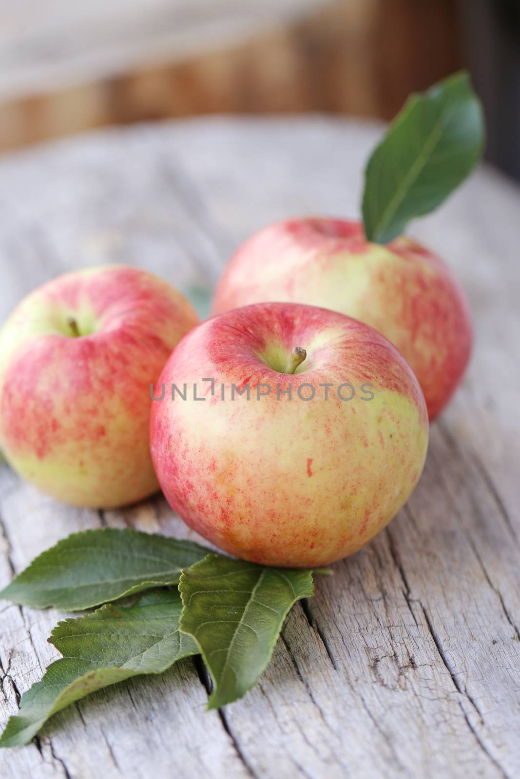 Bunch of apples lying on a wooden surface