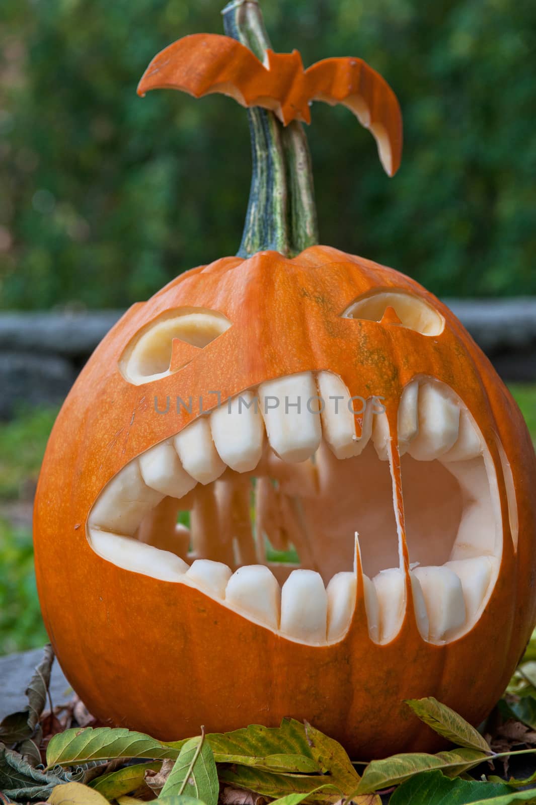 Halloween pumpkin on leaves background