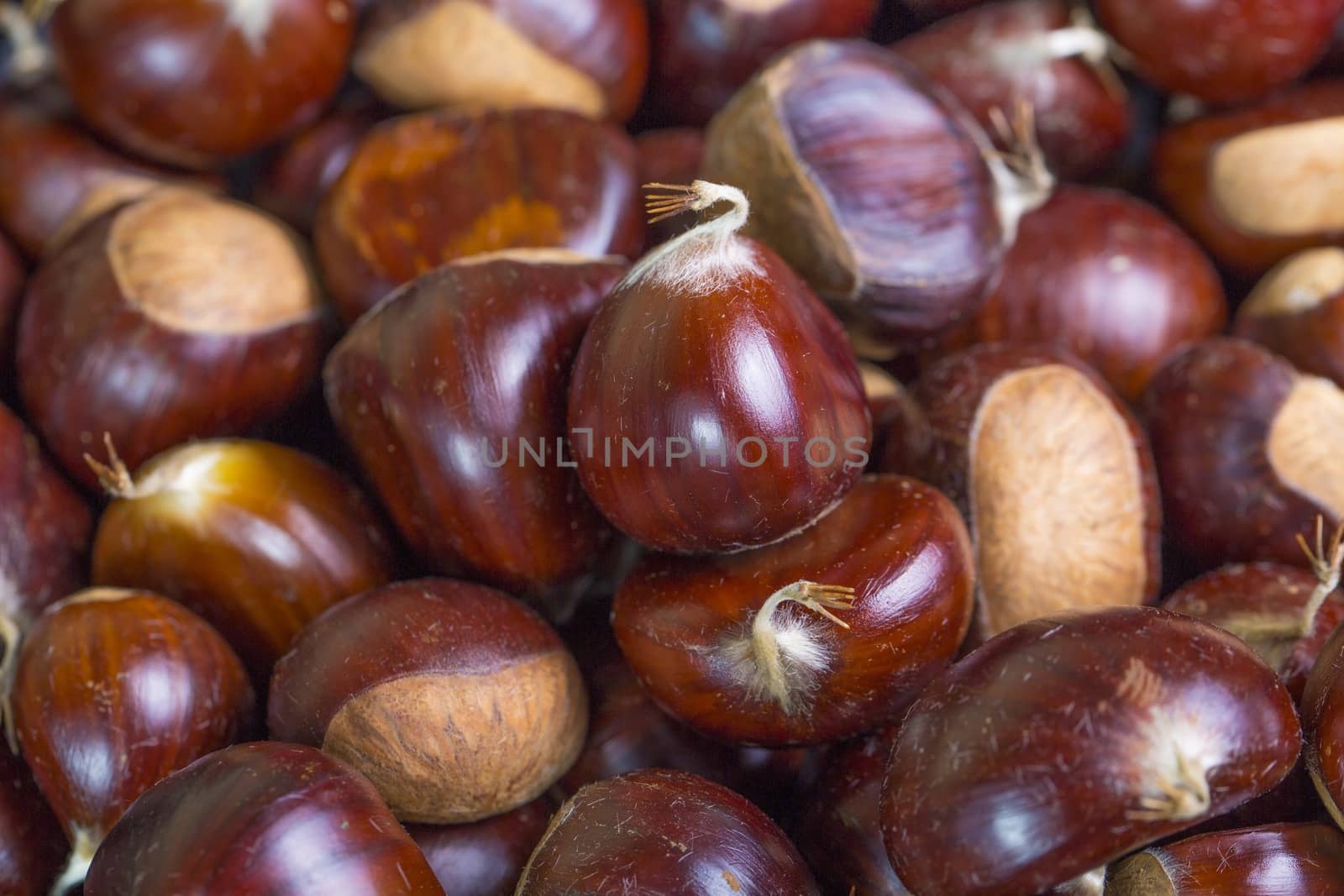 Macro picture of a group of chestnut fruit. 
