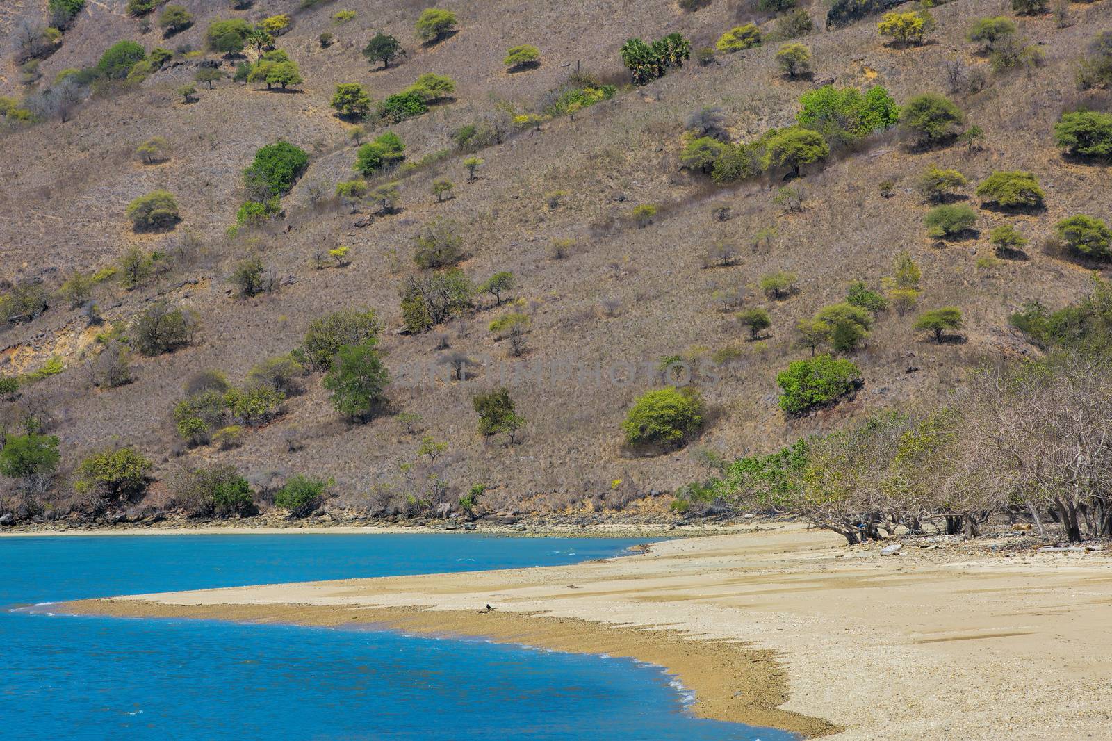 The beautiful nature of Komodo national park