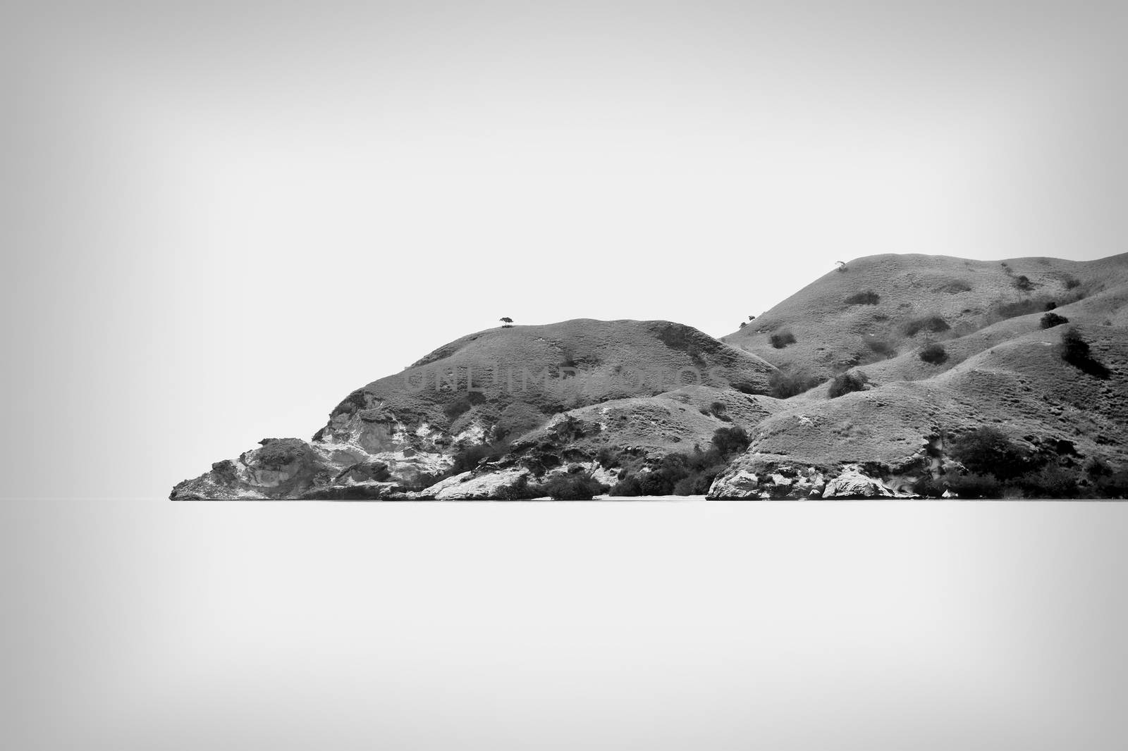 Lone tree standing on top of a hill