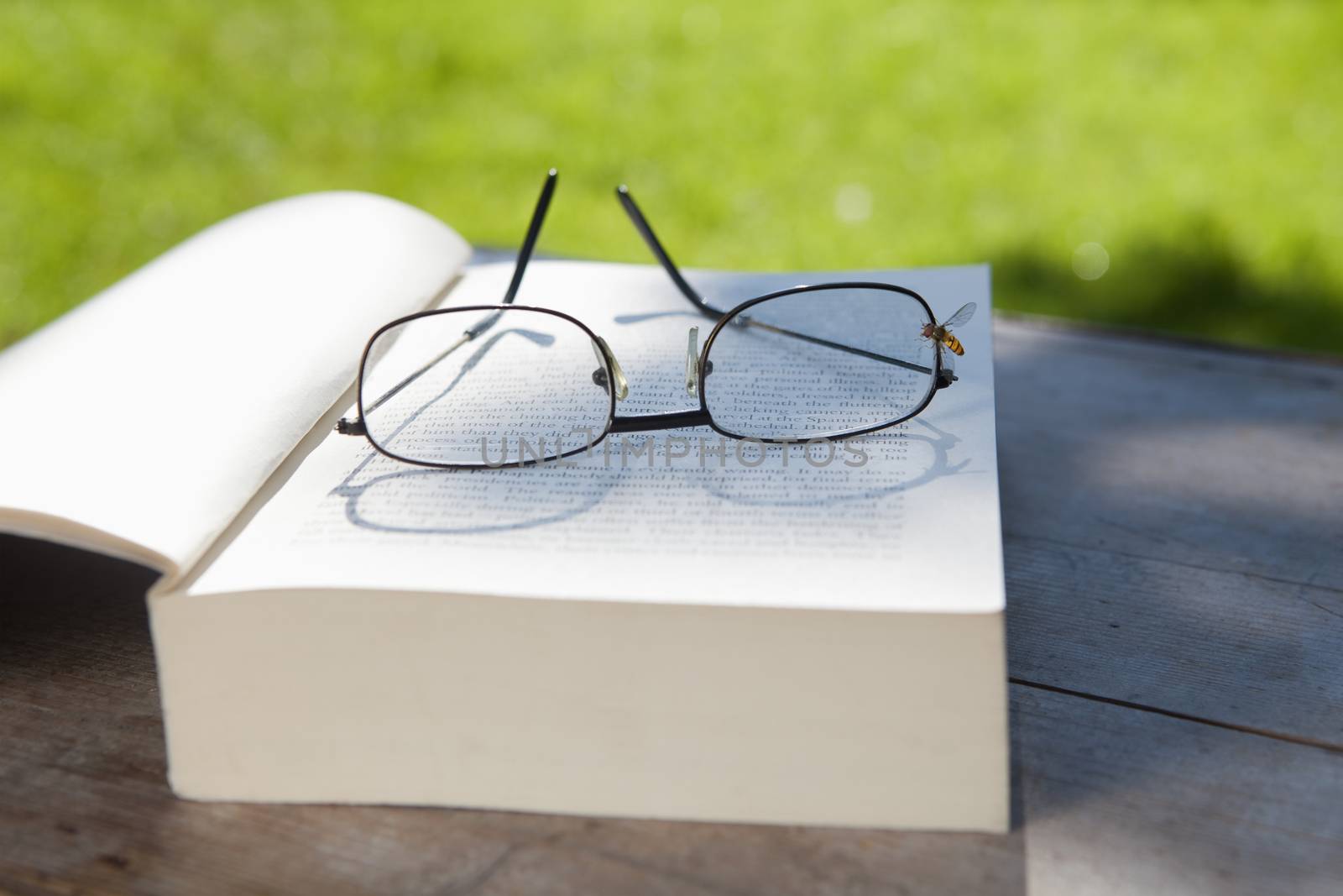 book and glasses by courtyardpix