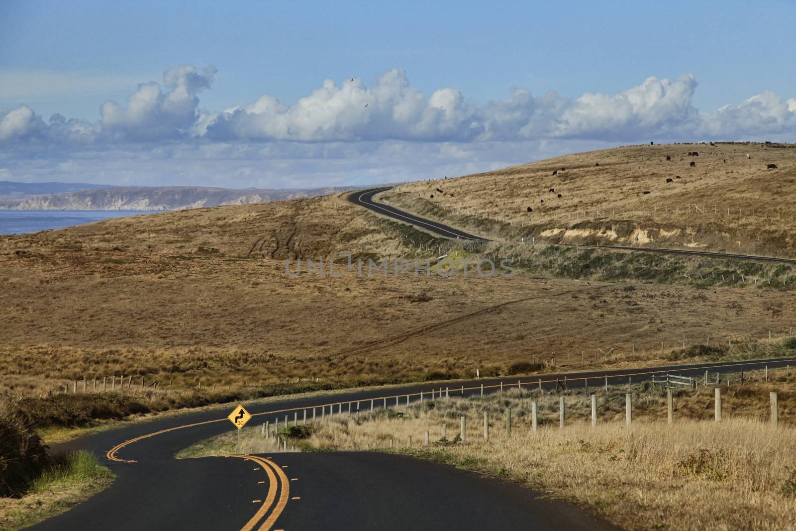 Winding road along the California coast