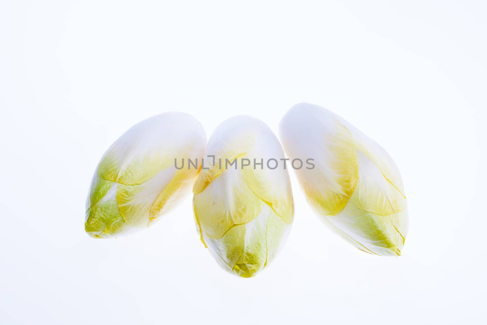 some of fresh chicory isolated on white background