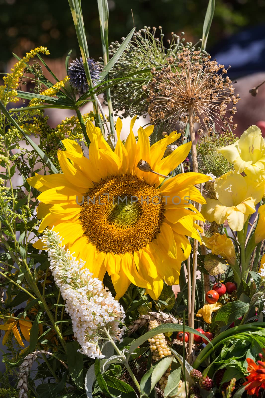 beautiful bouquets of flowers and herbs  by wjarek