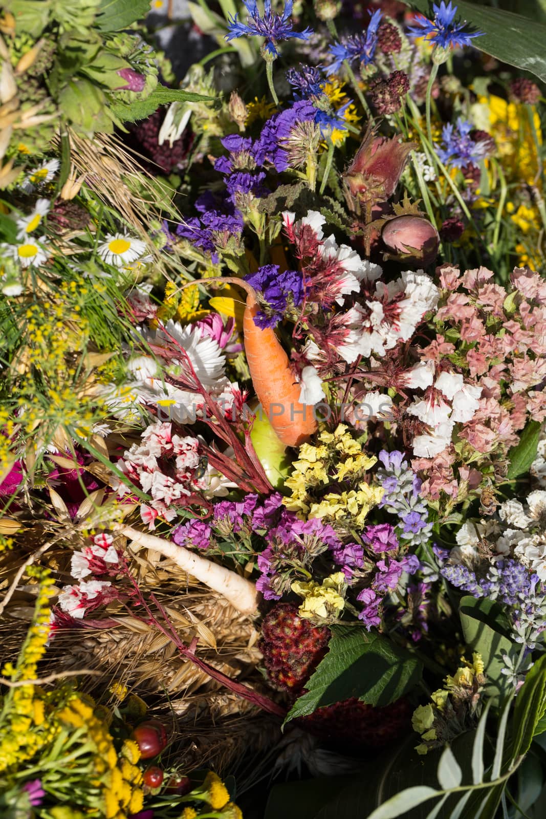 beautiful bouquets of flowers and herbs  by wjarek