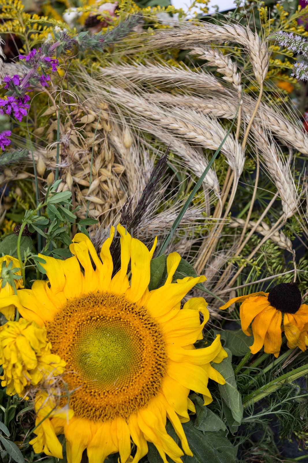 beautiful bouquets of flowers and herbs 