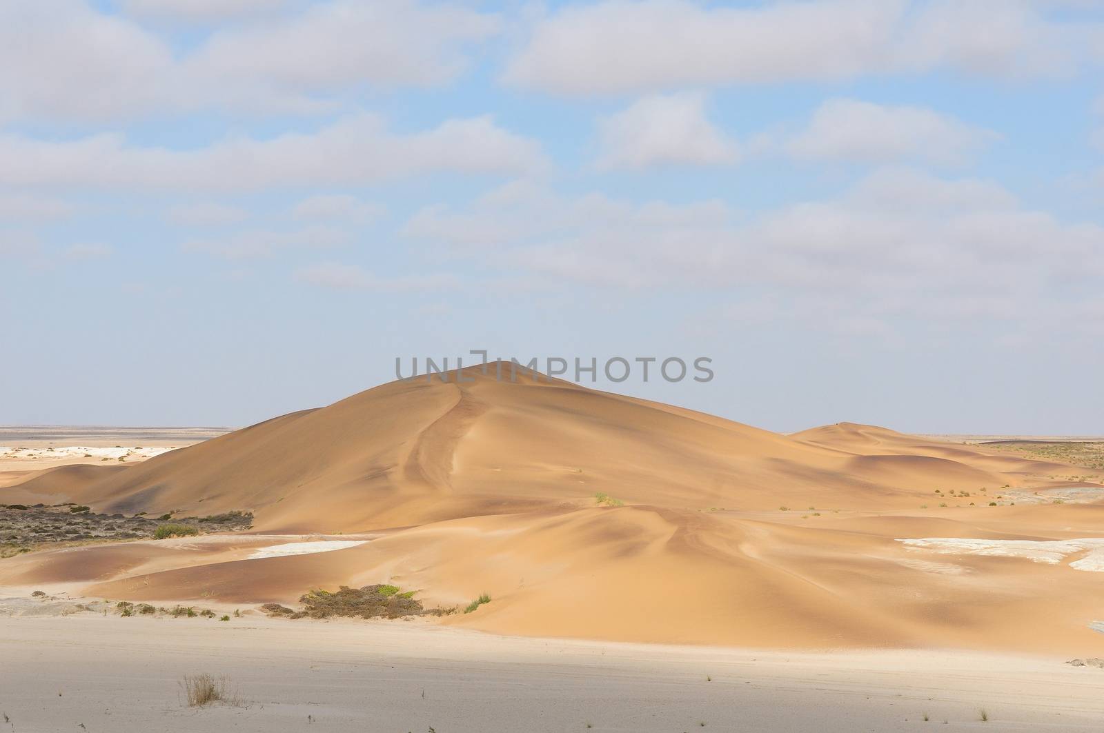 Dune in the Namib at Swakopmund in Namibia
