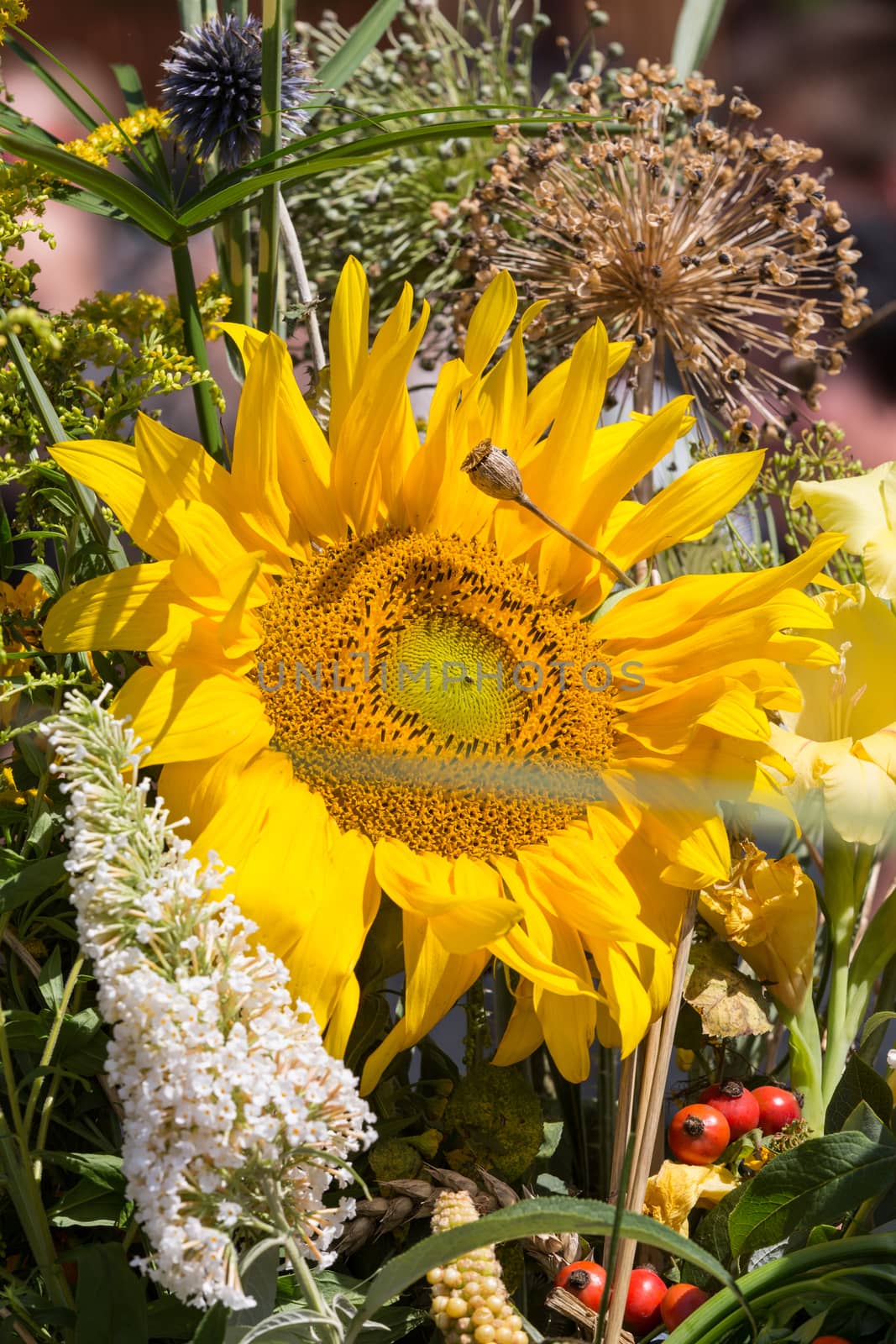 beautiful bouquets of flowers and herbs 