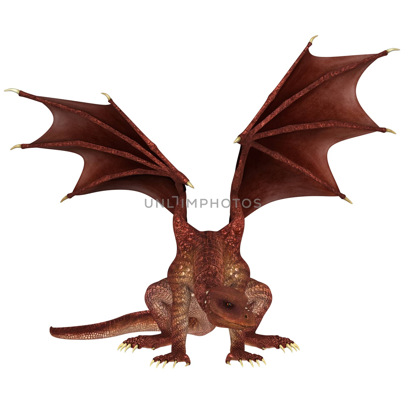 3D digital render of a red fantasy dragon isolated on white background