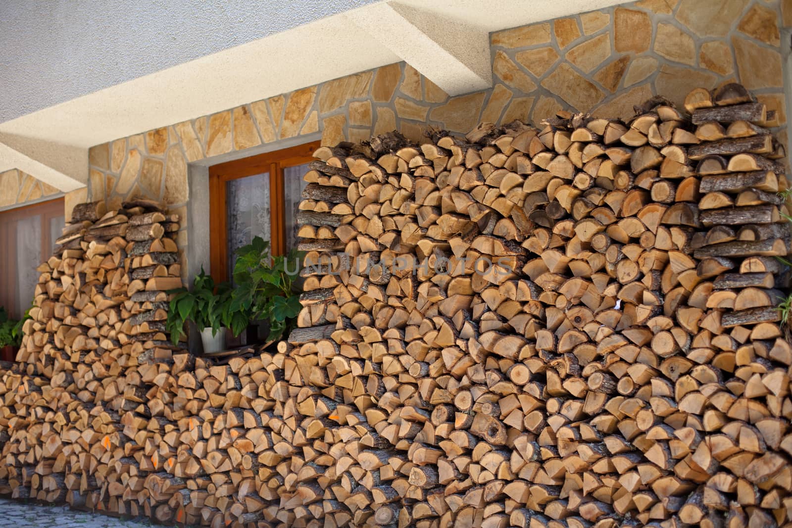 Firewood outdoor storage near a builing with window
