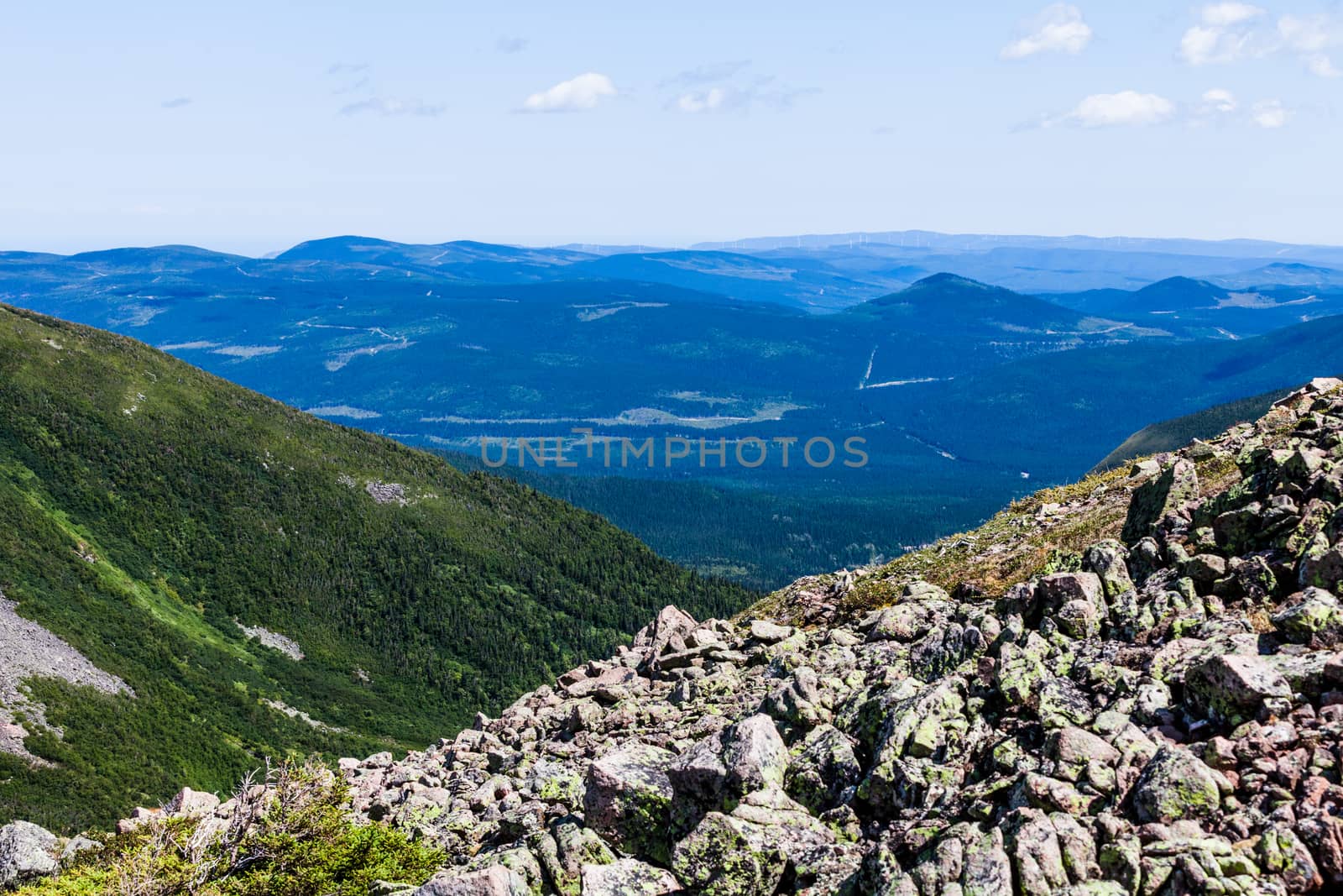 View from the Mont Jacques-Cartier by aetb